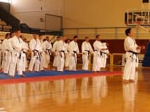 Karate seminar archive