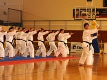 Karate seminar group