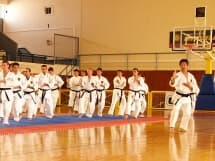Karate seminar with Kamohara sensei