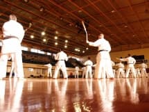 Kobudo seminar archive
