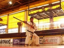 Kobudo seminar with Karaiskakis sensei