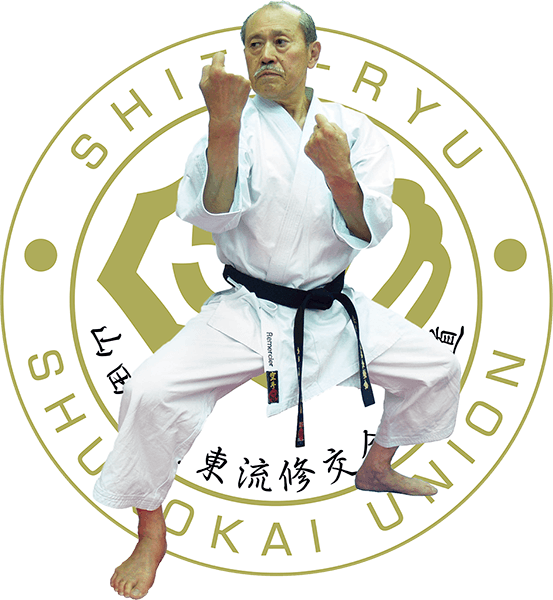 YAMADA Haruyoshi, Hanshi