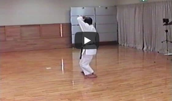 Yamada Sensei Nipaipo Kata