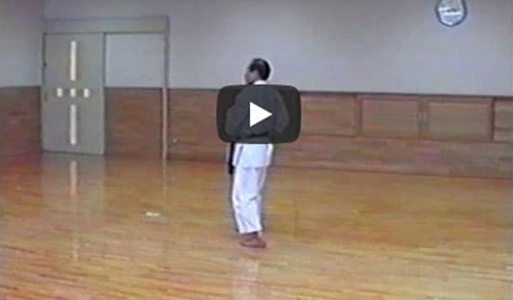 Yamada Sensei Suparinpei Kata